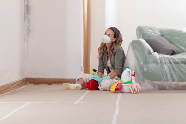 Reliable Mold Remediation contractor in Wood Dale, IL by WQB Mold Removal